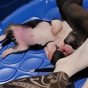 Meet your Posher, Shelly